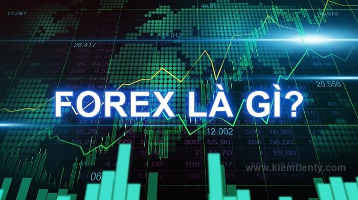 Forex cho người mới