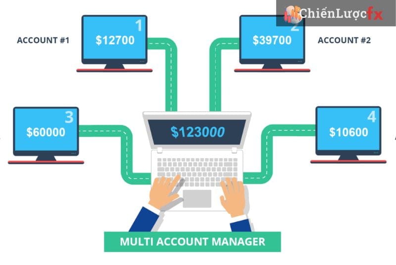 Mới chơi Forex nên mở tài khoản nào