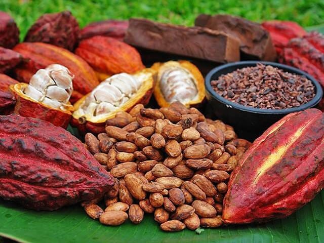 Giới thiệu về Cocoa là gì?